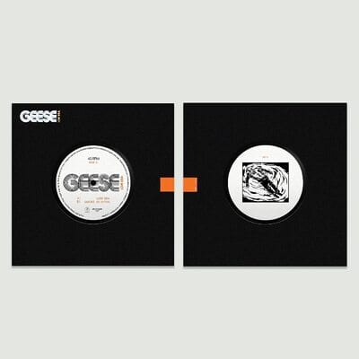 Golden Discs VINYL Low Era/Smoke in Japan:   - Geese [VINYL]