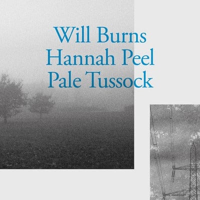 Golden Discs VINYL Pale Tussock - Will Burns & Hannah Peel [VINYL]