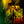 Bob Marley: One Love - Reinaldo Marcus Green [DVD]