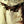 The Watched - Ishana Night Shyamalan [DVD]