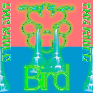 Golden Discs Vinyl Afraid Of You/Bird (20th Anniversary Reissue) - The Knife [Vinyl]