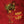 Golden Discs CD All Around Man: Live In London - Rory Gallagher [CD]