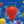 Jollification (NAD24 1LP Jump Into The Blue Edition) - Lightning Seeds [Colour Vinyl]