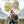The Lord of the Rings: The War of the Rohirrim - Kenji Kamiyama [DVD]