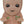 Golden Discs Posters & Merchandise Guardians of The Galaxy: Groot Phone Holder [Posters & Merchandise]