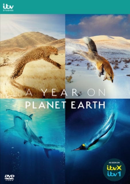 Golden Discs DVD A Year On Planet Earth - Martha Holmes [DVD]