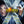 Golden Discs DVD X-Men: First Class - Matthew Vaughn [DVD]