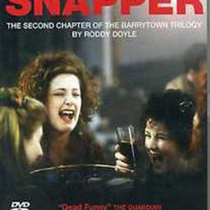 Golden Discs DVD The Snapper - Stephen Frears [DVD]