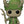 Funko POP! Marvel: We Are Groot - Loki [Toys]