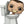 Funko Pop! Vinyl: Skibidi Toilet - Skibidi Toilet [Toys]