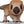 Funko Pop! Movies: Jurassic World: Rebirth – Aquilops [Toys]