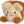 Golden Discs Plush Palm Pals Buttery Toast, 5In [Plush]