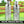 Golden Discs Posters & Merchandise Minecraft metal water [Bottle]