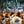 Golden Discs DVD Seven Worlds, One Planet - Sir David Attenborough [DVD]