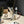 Golden Discs Posters & Merchandise Disney 100 Mickey Mouse Pen 10 In 1 Ballpoint Pen With 3D Mickey Mouse Topper [Stationery]
