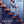 Golden Discs DVD Finding Alice - Roger Goldby [DVD]