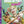 Golden Discs DVD Birds of Prey - And the Fantabulous Emancipation of One Harley Quinn - Cathy Yan [DVD]