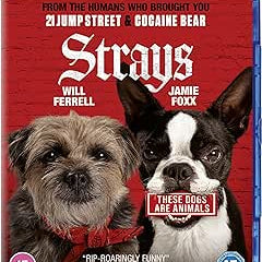 Golden Discs BLU-RAY Strays - Josh Greenbaum [BLU-RAY]