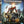 Golden Discs Transformers: Rise of the Beasts - Steven Caple Jr. [4K UHD]