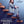 Golden Discs DVD Finding Alice - Roger Goldby [DVD]