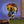 Funko Pop! Harry Potter - Puking Pastille Girl [Toys]