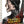 Golden Discs DVD The Hunger Games: Complete 4-film Collection - Gary Ross [DVD]