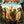 Golden Discs DVD Jumanji: The Next Level - Jake Kasdan [DVD]