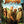 Golden Discs DVD Jumanji: The Next Level - Jake Kasdan [DVD]