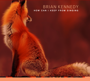 How Can I Keep From Singing - Brian Kennedy [VINYL]