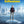Curb Your Enthusiasm: The Complete Twelfth Season - Larry David [DVD]