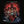 Stranger Things 5 (Original Score) Volume 1 - Kyle Dixon & Michael Stein [Colour Vinyl]