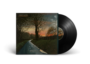 A Terrible Beauty - Christy Moore [VINYL]