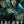 Colony - Yeon Sang-ho [DVD]