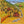 Hawaii (2024 Re-issue) - The High Llamas [VINYL]