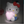Hello Kitty Shaped Light [Lamp]