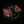 Nobody's Coming to Save You - Gurriers [CD]