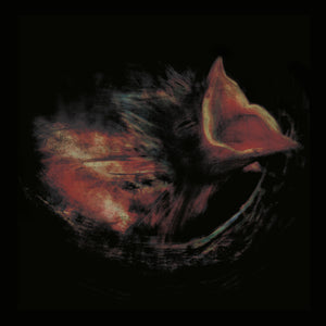 Nobody's Coming to Save You - Gurriers [CD]