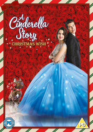 A Cinderella Story - Christmas Wish - Michelle Johnston [DVD]