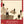 Dead Poets Society (SteelBook) - Peter Weir [4K UHD]