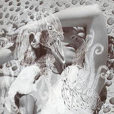 Golden Discs CD Vespertine - Björk [CD]