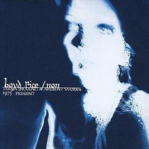 Golden Discs CD Terra Incognita: Ambient Works 1975-present - Non [CD]