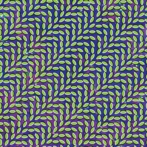 Golden Discs CD Merriweather Post Pavilion - Animal Collective [CD]