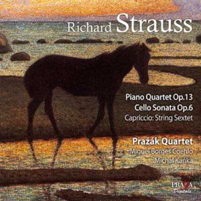 Golden Discs SACD Richard Strauss: Piano Quartet, Op. 13/Cello Sonata, Op. 6/... - Richard Strauss [SACD]