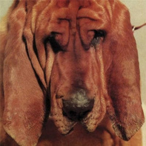 Golden Discs CD Goodbye Bread - Ty Segall [CD]