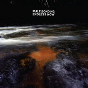 Golden Discs CD Endless Now - Male Bonding [CD]