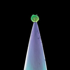 New Blood - Peter Gabriel [CD]