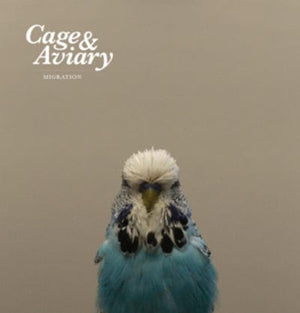 Golden Discs CD Migration: Extra Tracks - Cage & Aviary [CD]