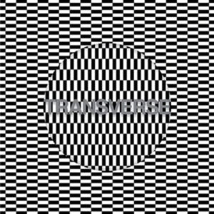 Golden Discs CD Transverse - Carter Tutti Void [CD]