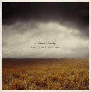 Golden Discs CD I See Three Birds Flying - Adrian Crowley [CD]