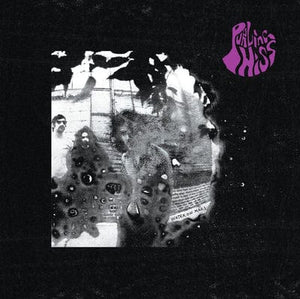 Golden Discs CD Water On Mars - Purling Hiss [CD]